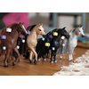 Schleich Horse Club Sofia's Beauties English Thoroughbred Mare Playset - Realistic Toy Figure with Brushable Hair and Accessories, Fun and Imaginative Play for Boys and Girls, Gift for Kids Ages 5+