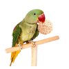 LOIUGENTE Parrot Chew Toys Bird Toys, 30 Pcs 1.2 inch Rattan Wicker Balls Parakeet Chewing Toys, for Budgies Conures Hamsters Bunny Toy, Decoration for DIY Craft Party Wedding