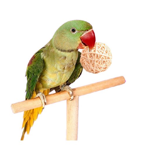 LOIUGENTE Parrot Chew Toys Bird Toys, 30 Pcs 1.2 inch Rattan Wicker Balls Parakeet Chewing Toys, for Budgies Conures Hamsters Bunny Toy, Decoration for DIY Craft Party Wedding