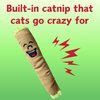 PAW:20 Lil' B The Blunt | Funny Cat Toy | Cool Plush Catnip Toy | Fun Novelty Gift | Play and Funny Photos