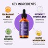 Eve Hansen Hyaluronic Acid Serum for Face (2 oz) | Hydrating Face Serum with Vitamin C + E, Wrinkle Filler, Moisturizer, and Natural Plumper | Cruelty Free, Vegan Anti Aging Serum