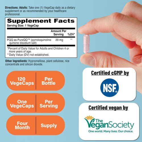 Health Thru Nutrition PQQ 20mg 120 Servings Pyrroloquinoline Quinone as PureQQ | Promotes Mitochondrial Biogenesis | Certified Vegan | Non-GMO Gluten Soy Free Capsules| Clean Label PQQ Supplement