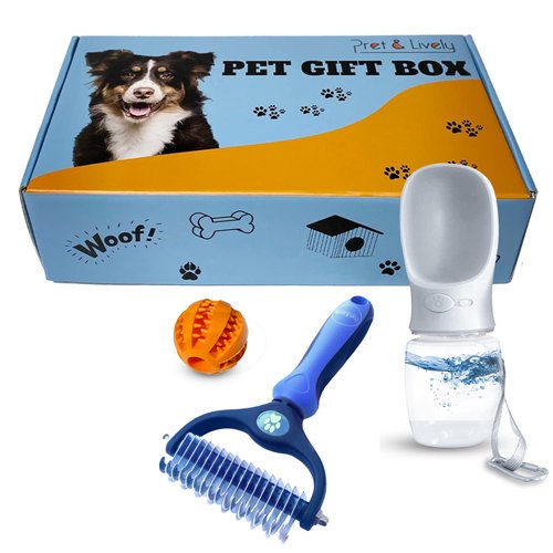 Pret & Lively Pet Gift Box, 2 in 1 Dematting Hair Comb, 12 Oz Pet Water Bottle, Pet Chew Toy, Dogs & Cat, Teething Ball,Tough Mats & Tangles, Leakproof Reusable Hydration Dispenser (Boy Pets)