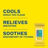 Preparation H Hemorrhoid Flushable Wipes with Witch Hazel for Skin Irritation Relief - 48 Count (Pack of 4)