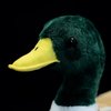 lilizzhoumax Mallard Duck Stuffed Animal,Realistic Duck Plush,Super Soft Plush,Toys for Kids,Figure Toy,Girl Toys,Gift for Kids,Duck Pillow,Home Decor(Green 12.2 inch)