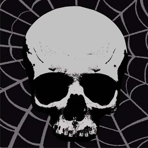 Creative Converting 18 Count Skull Terror Beverage Napkins