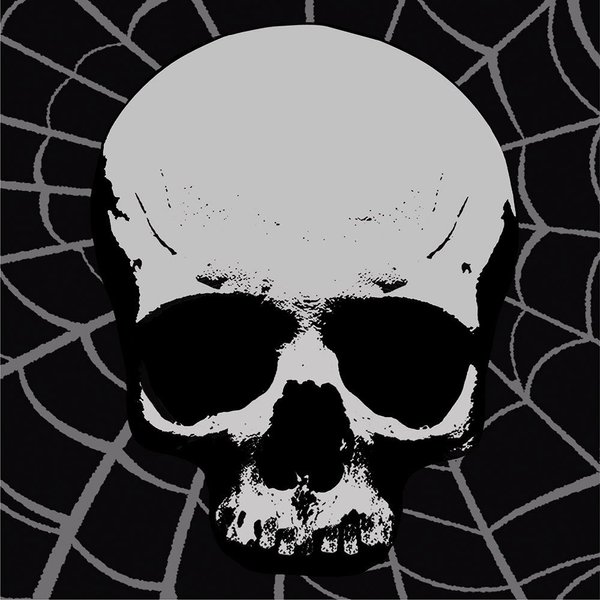 Creative Converting 18 Count Skull Terror Beverage Napkins