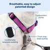 PetSafe 3 in 1 Dog Harness - No Pull Solution for Dogs - Reflective Dog Harness - Front D-Ring Clip Helps Stop Pulling - Comfortable Padded Straps - Top Handle Enhances Control - Teal - Medium