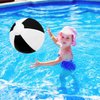 GCQJOQ 12 Inch Beach Balls Bulk, 6 Pack Black White Color Inflatable Beach Ball for Kids Summer Water Games Party Supplies