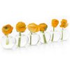 CHIVE ‘Caterpillar’ Bubble Bud Vase for Centerpieces — 6 Hole Multi Chamber Clear Glass Flower Vase for Short Flowers — Small, 10.25” Long (Set of 6)