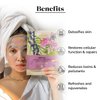 LuxaDerme Detox Bio Cellulose Face Mask, Moisturizing and Brightening Skincare Face Mask, Korean Sheet Masks for Glass Skin with Acai Berry, CoQ10, Fermented Coconut Jelly, All Skin Types, Pack of 1
