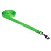 Xsmall Neon Green Nylon Webbing Dog Leash: 1/2" wide, 4ft length - Made in USA.