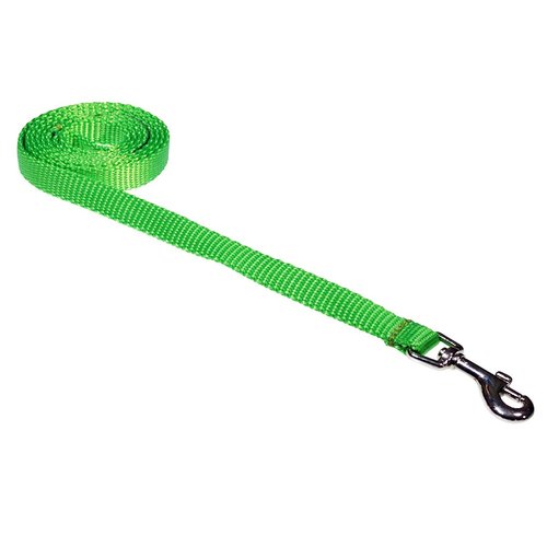 Xsmall Neon Green Nylon Webbing Dog Leash: 1/2" wide, 4ft length - Made in USA.