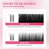 Eyelash Extensions 0.05mm Thickness Volume Lash Extensions DD Curl Lashes Mix 10-17mm Pestañas Pelo a Pelo Matte Black Volume Lashes Soft Lash Trays Individual Lashes Professional Use(0.05-DD,10-17mm)