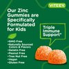 Zinc for Kids Gummies 10mg, with Vitamin C & Echinacea for Kids - Immune Support, Powerful Natural Antioxidant, Kids Zinc Vitamin Supplement - Vegan, Gelatin Free - Tasty Chewable Orange Flavor Gummy