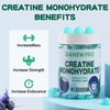 DANEW PRO Creatine Monohydrate Gummies 5000mg for Men & Women, Creatine Monohydrate for Muscle Strength, Muscle Builder, Energy Boost, Pre-Workout Supplement(120 Count)-Blueberry Flavor