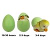 Easter Eggs - Super Sized Grow Eggs (Single Unit) - Watch Them Hatch Like Magic One of Six Different Pets!