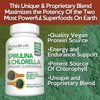 Allied Life Spirulina and Chlorella | Organic Chlorophyll Vegan Protein Powder Green Superfood Capsules | Natural Immune Support (3 Bottle Pack)
