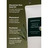 AROMATICA REPLENISHING LEAVE-IN TREATMENT LAVENDER & PATCHOULI 5.0fl oz/150ml - Silicone-Free Leave In Conditioner for Damaged Hair & Heat Protection, No-Rinse Formula