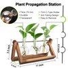 Renmxj Plant Propagation Station, Plant Terrarium with Wooden Stand, Unique Gardening Birthday Gifts for Women Plant Lovers, Home Office Garden Decor Planter - 3 Bulb Glass Vases