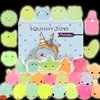 POKONBOY Mochi Squishy Toys Glow in The Dark for Party Favors - 30 Pack Mini Kawaii Cute Animal Squishies Stress Relief Squishy Animals Mochi Cat Squishy with Gift Box