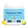 Feel Goods Hydration Hero, 1,000mg Electrolytes Powder, Sugar Free, Magnesium, Organic Coconut Water, Organic Aloe, L Theanine, Vitamin C & B12, Non GMO, Keto, Vegan | Lemon Lime, 30 Servings