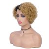 Quantum Love Human Hair Wigs for Black Women Short Curly Human Hair Side Part Wig Pixie Cut Brazilian Remy Human Hair Deep Curly None Lace Front Ombre Blonde Wigs