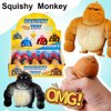 20 Pack Mini Monkey Stress Balls, Squishy Monkey Decompress and Squeeze Stress Toy, Squishy Fidget Toys Gorilla Toy Stress Relief Toy Autism Sensory Toys for Kids Party Favors
