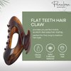 Parcelona French Ovale Medium 3.5 Inch Tortoise Shell Brown Celluloid Covered Spring Hair Claw Clip Clamp for Women