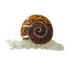 Snail Hair Clips,Cellulose Acetate Hair Clips,Big Claw Clips for Girl,Hair Accessories