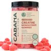 Creatine Monohydrate Gummies - 5000mg Watermelon Flavored Creatine Supplement for Men & Women - Supports Muscle Gain, Energy, Pre and Post Workout, Focus & Cognition, Recovery (120 count, 30 servings)