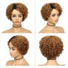 Quantum Love Human Hair Wigs Curly Wave Side Part Wig Short Bob Pixie Cut Brazilian Remy Human Hair Deep Curly None Lace Front Wigs for Women Ombre Black Brown Color