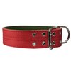 Genuine Leather Dog Collar 1.75" Wide Padded (Neck Circumference: 15"-18", Red)