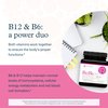 Youtheory B12B6 - Vegan Vitamin B6 & Vitamin B12 - Offers Brain Health, Energy & Immunity Support* - Dairy, Soy & Gluten Free - 60 Vegetarian Capsules