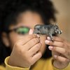 Schleich Wild Life, Animal Figurine, Animal Toys for Boys and Girls 3-8 years old, Warthog, Ages 3+