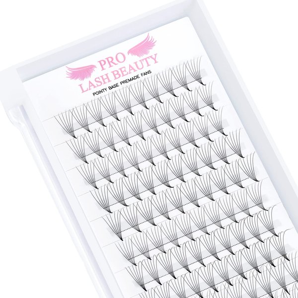 Premade Fans Eyelash Extensions 6D-D-0.10-10 Premade Volume Lash Extensions Pointed Base Fans 0.07 Premade Volume Fans C D Curl(6D-D-0.10,10mm)
