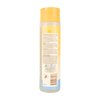 BURT'S BEES FOR PETS Kittens Natural Tearless Shampoo with Buttermilk, 10 Fl Oz - Kitten and Cat Grooming And Bath Supplies, Kitty Shampoo, Pet Shampoo for Cats