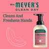 Mrs. Meyer's Clean Day Foaming Hand Soap, Watermelon Scent (10 Fl oz (Pack of 1))
