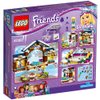 LEGO Friends Snow Resort Ice Rink 41322 Building Kit (307 Piece)