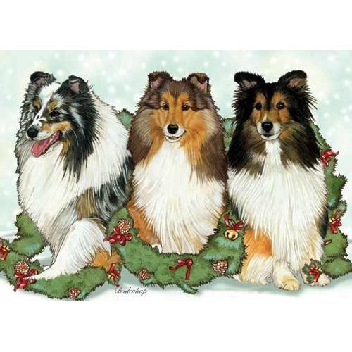 Pipsqueak Shetland Sheepdog Christmas Cards : 10 Holiday Cards with Envelopes - ADORABLE!
