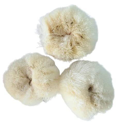 Siyo Natural Bath Body Scrub Brush Skin Smooth Scrubbing Brush Coconut Coir Brush Cleaning The Body Natural Bristal Dry Body Brush for Post Shower & Bath Skincare Routine Eco-Friendly (2 Pack)