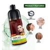 Herbishh Hair Color Shampoo (Grape Red) - Magic Hair Dye for Gray Hair - Ammonia-Free, 3-in-1 Shampoo Conditioner - Lasts 2-3 Weeks, 500 ml