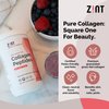 Zint Collagen Peptides Powder (16 Ounce): Anti Aging Hydrolyzed Collagen Protein Powder Beauty Supplement - Skin, Hair, Nails