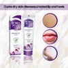 Boro Plus Pack Of 2 - Boroplus Antiseptic Cream - 40Ml