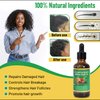 Rehoboth Creative Collection Botanical Blend Herbal Hair Oil for Dry Hair & Scalp, Promotes Strong Hair Strands, Enhances Scalp Hydration - Makes Hair Shinier & Softer