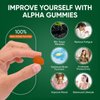 10-in-1 True Alpha Shilajit Gummies, 4000mg Himalayan Alpha Gummies for Men, Energy Boost, Immune Support, with Ashwagandha, Maca Root, Tongkat Ali, Fulvic Acid, 85+Trace Mineral, No Added Sugar, 60ct