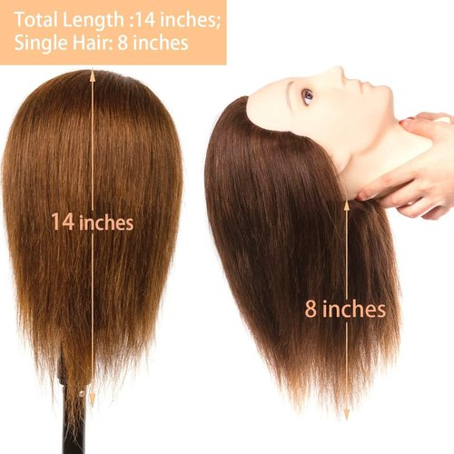 Stancia Mannequin Head, Male Mannequin Head with 100% Human Hair, 14" Barber Mannequin Head, Hairdresser Training Doll Manikin Head for Hair Styling and Practice (Dark Brown)