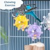 Bird Toys for Parakeets, Colorful Parakeet Toys Wheel, Interactive Spinner Rattle Parrot Toy, Cockatiel Toy For Bird Cage, Chewing Exercise for African Grey, Conure, Budgies Enrichment Toys (2pcs)