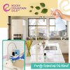 Rocky Mountain Oils Purify Essential Oil Blend - 100% Pure and Natural Essential Oils for Diffuser, Topical, and Home -15ml
