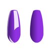 Vishine Gel Nail Polish, 0.5 OZ Purple Shade Soak Off UV LED Nail Gel Polish Manicure Salon DIY for Nail Art Long-Lastnig 15ml